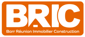 cropped-logo-BRIC.png